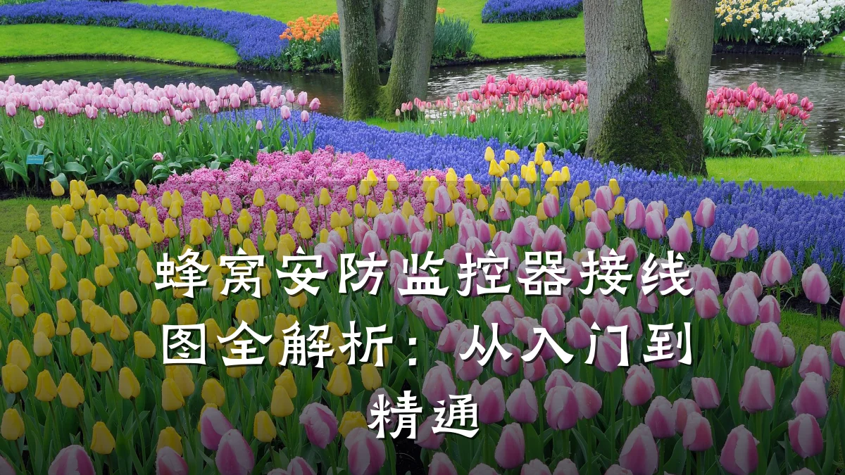 蜂窝安防监控器接线图全解析：从入门到精通