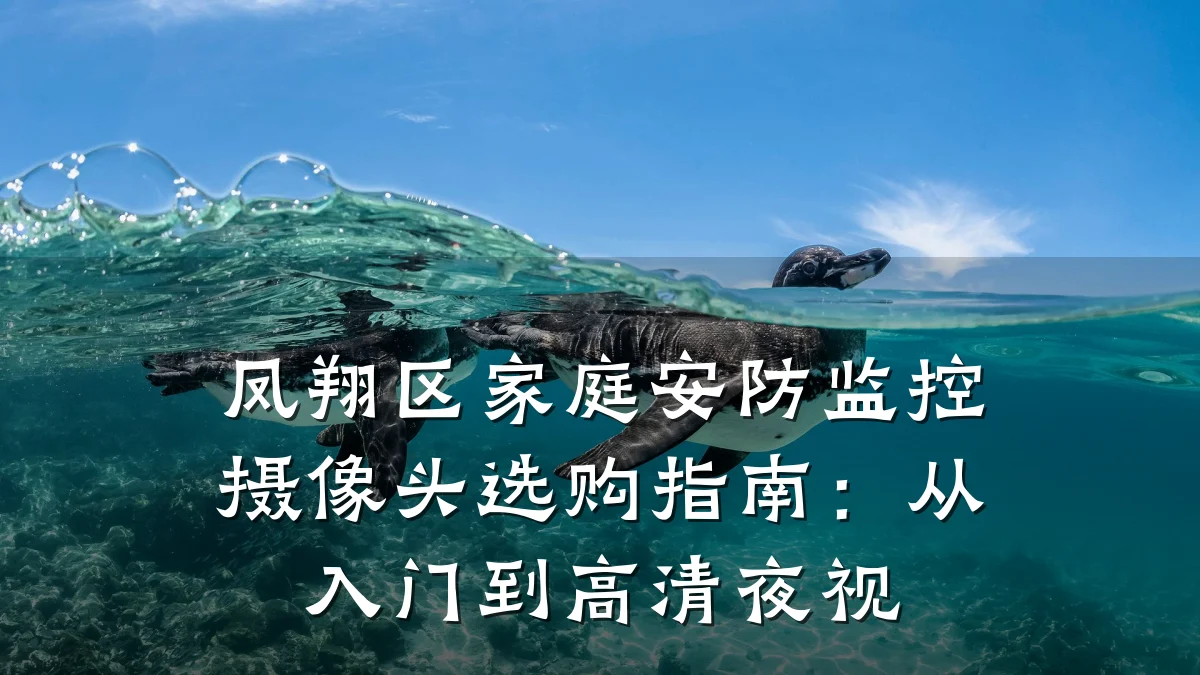 凤翔区家庭安防监控摄像头选购指南:从入门到高清夜视