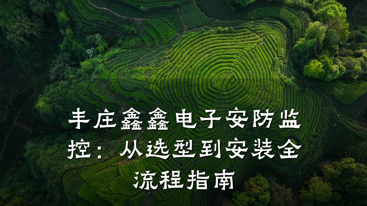 丰庄鑫鑫电子安防监控:从选型到安装全流程指南