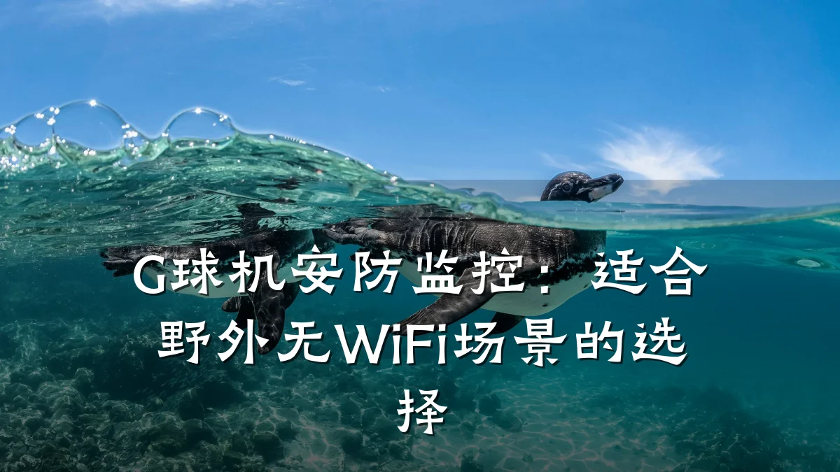 G球机安防监控:适合野外无WiFi场景的选择