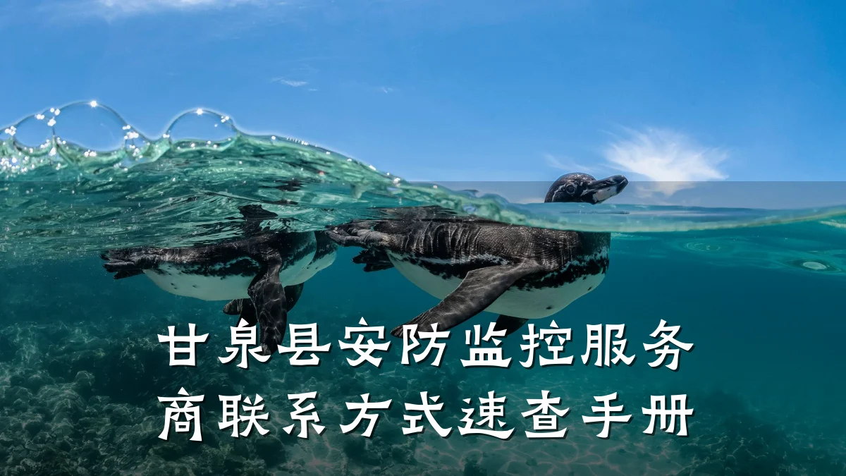 甘泉县安防监控服务商联系方式速查手册