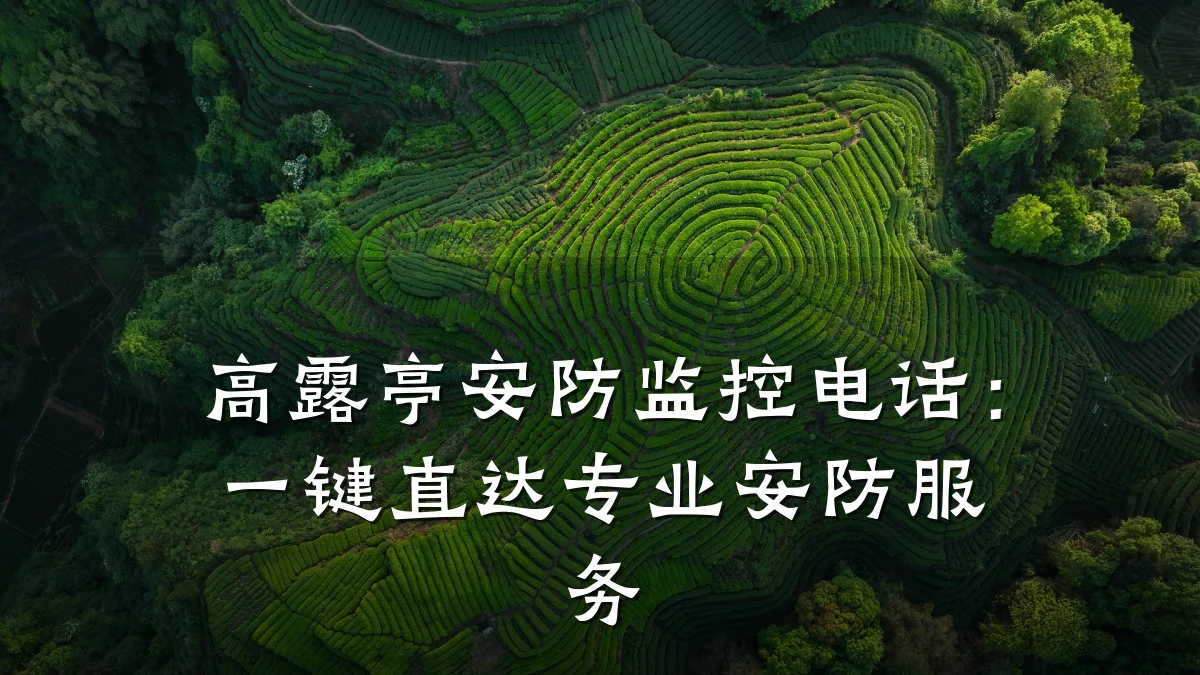 高露亭安防监控电话：一键直达专业安防服务