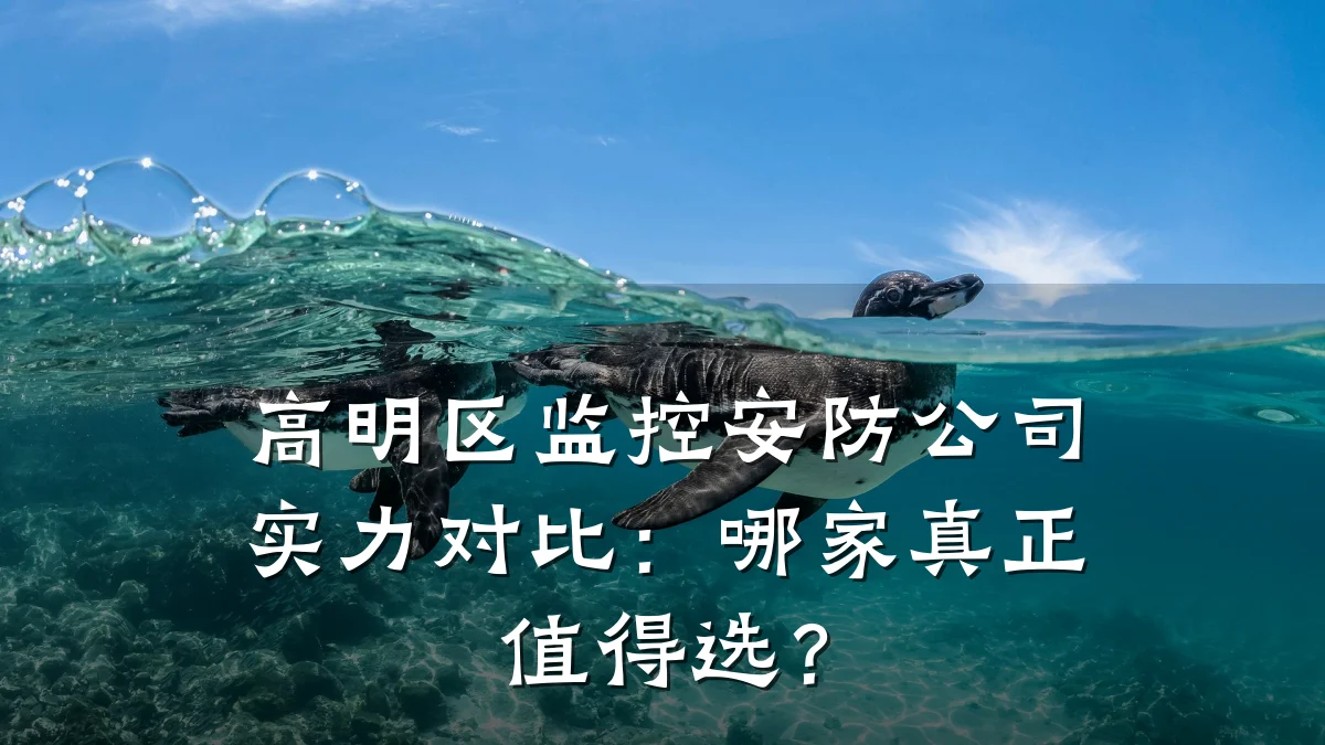 高明区监控安防公司实力对比:哪家真正值得选?
