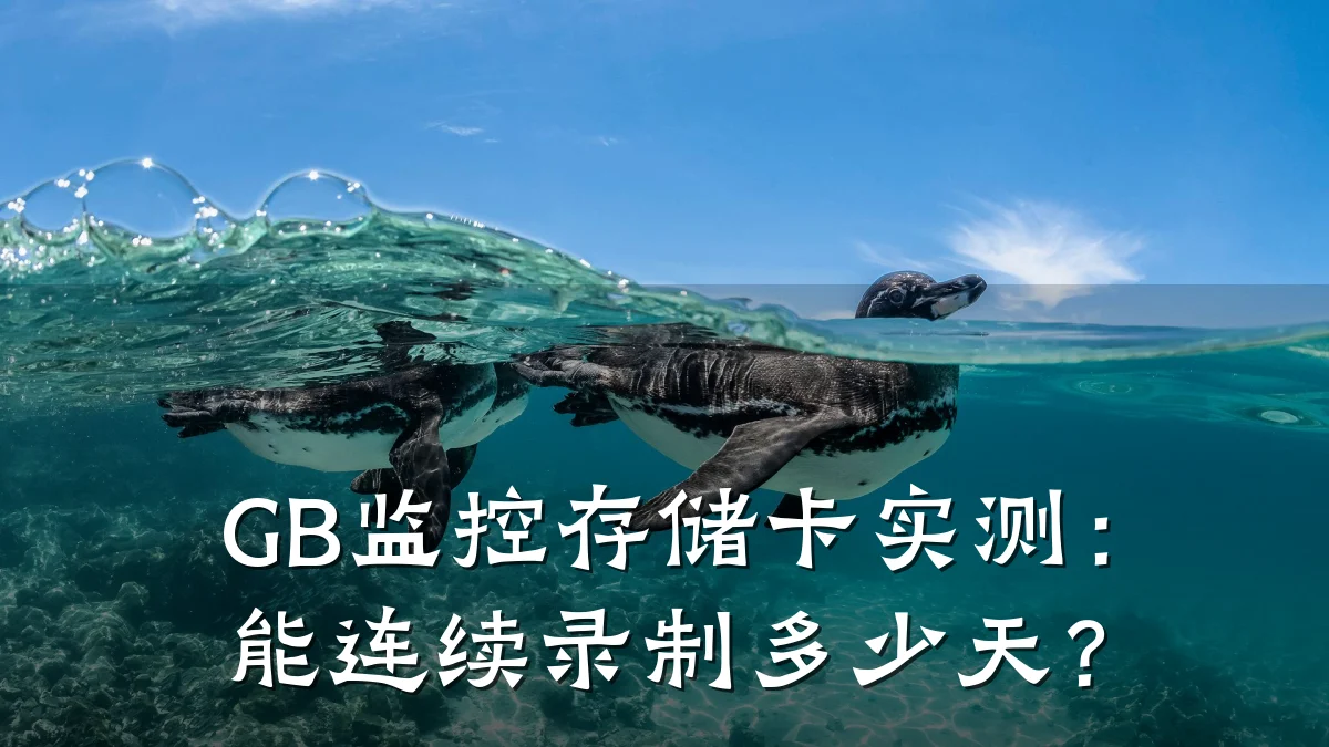 GB监控存储卡实测:能连续录制多少天?