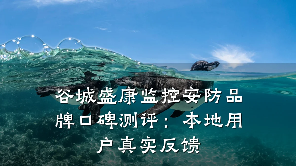 谷城盛康监控安防品牌口碑测评:本地用户真实反馈