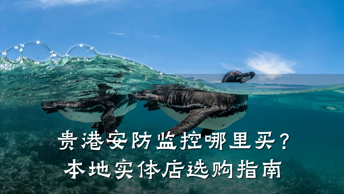 贵港安防监控哪里买?本地实体店选购指南