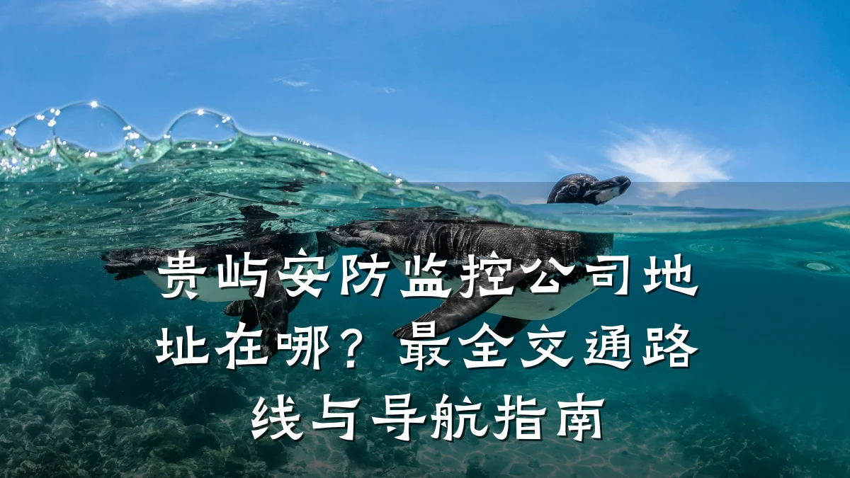 贵屿安防监控公司地址在哪?最全交通路线与导航指南