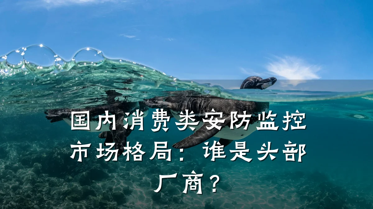 国内消费类安防监控市场格局:谁是头部厂商?