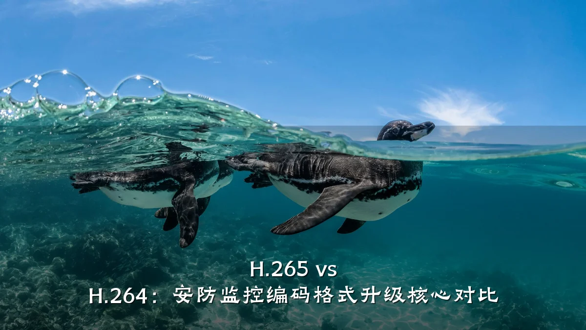 H.265 vs H.264:安防监控编码格式升级核心对比
