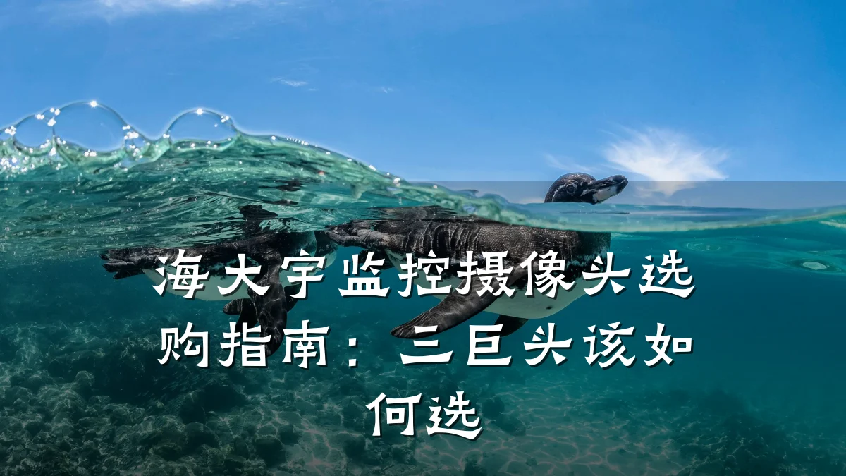 海大宇监控摄像头选购指南:三巨头该如何选