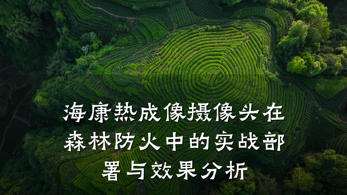海康热成像摄像头在森林防火中的实战部署与效果分析