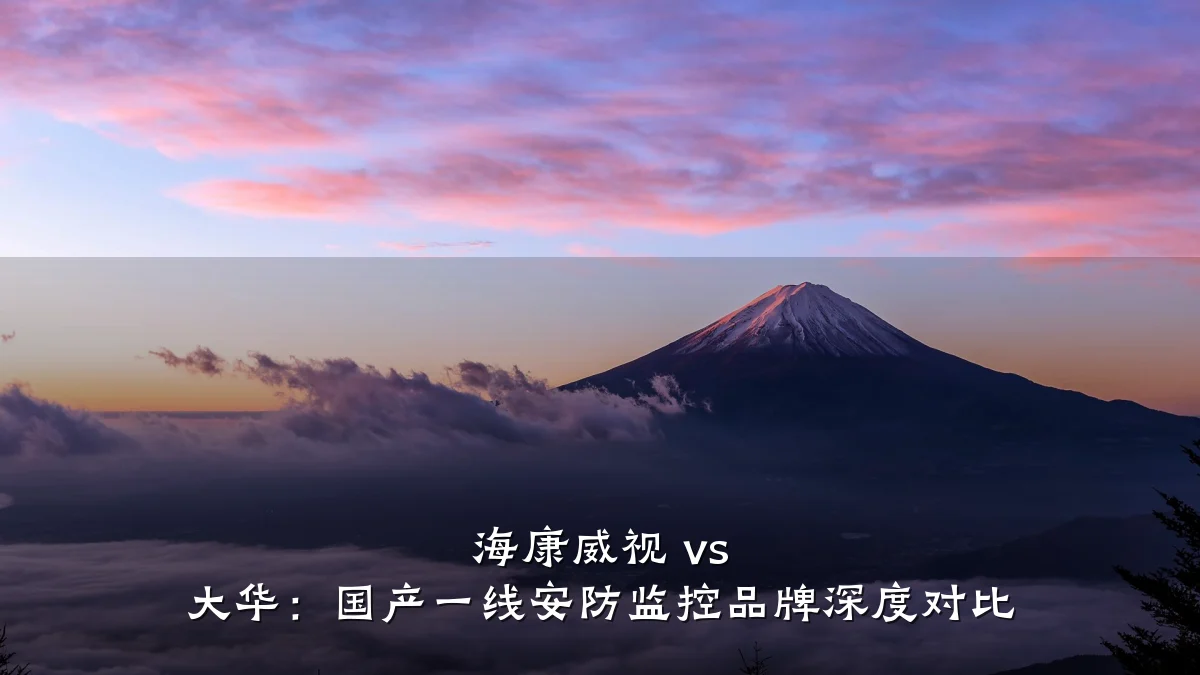 海康威视 vs 大华:国产一线安防监控品牌深度对比