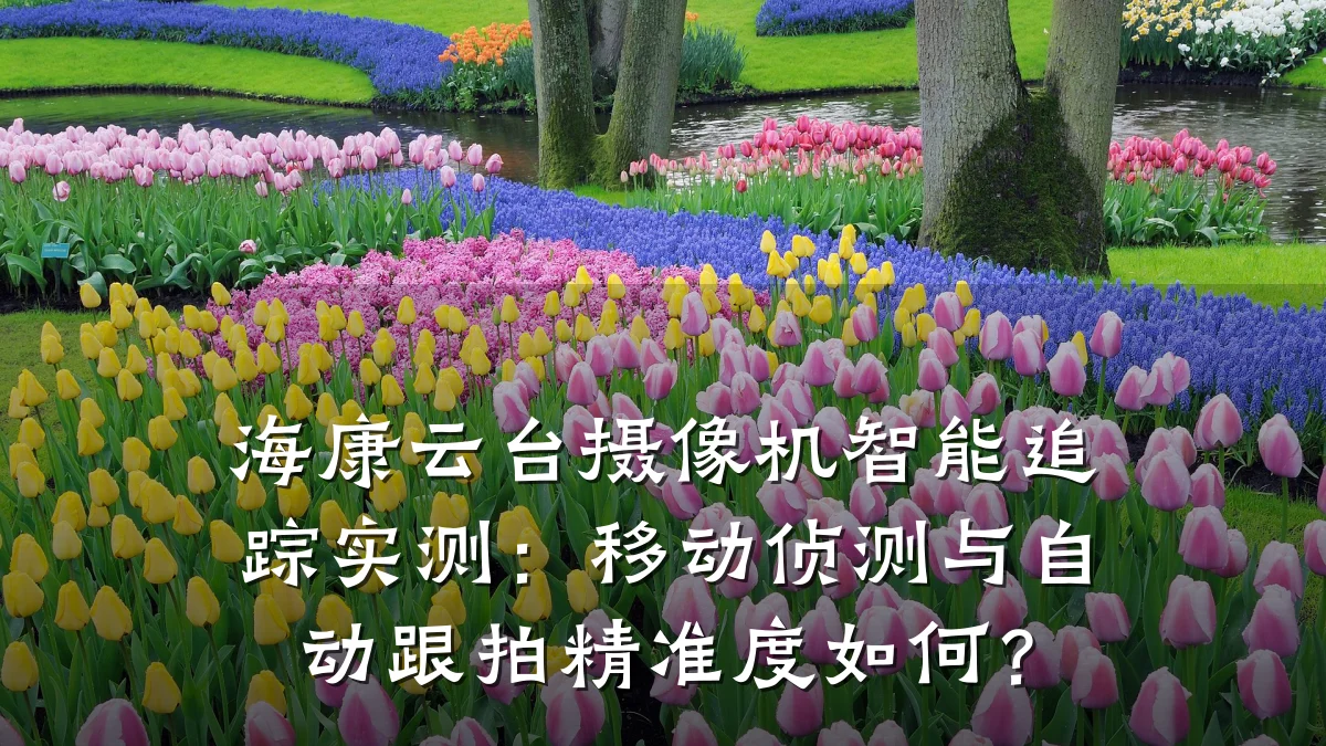 海康云台摄像机智能追踪实测:移动侦测与自动跟拍精准度如何?