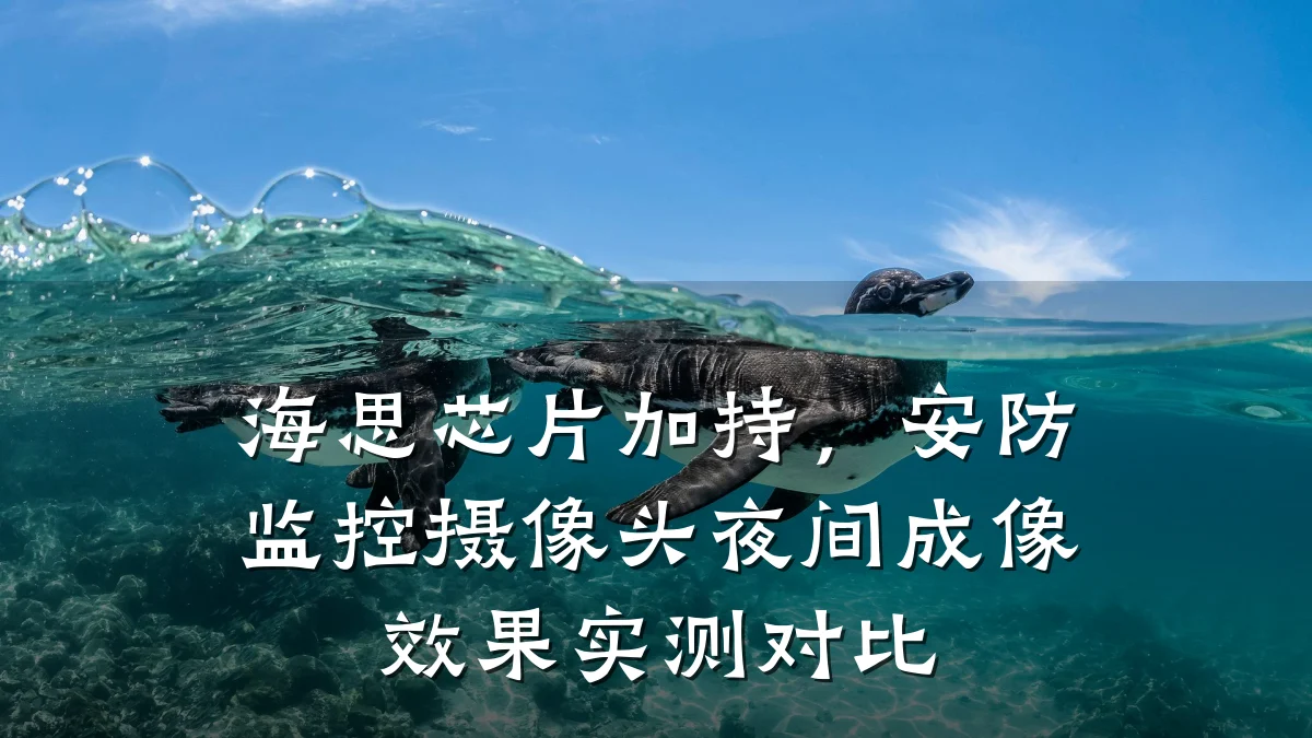 海思芯片加持,安防监控摄像头夜间成像效果实测对比