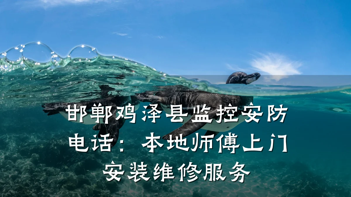 邯郸鸡泽县监控安防电话：本地师傅上门安装维修服务