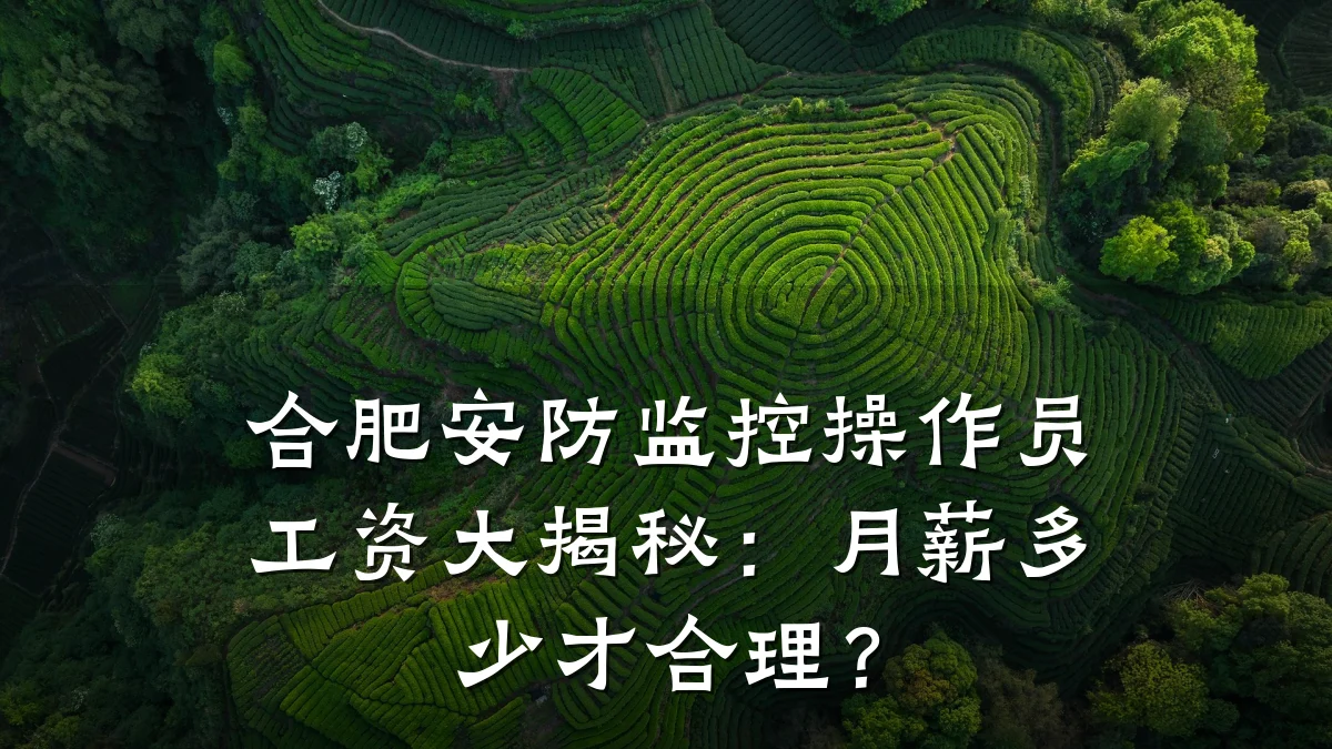 合肥安防监控操作员工资大揭秘:月薪多少才合理?