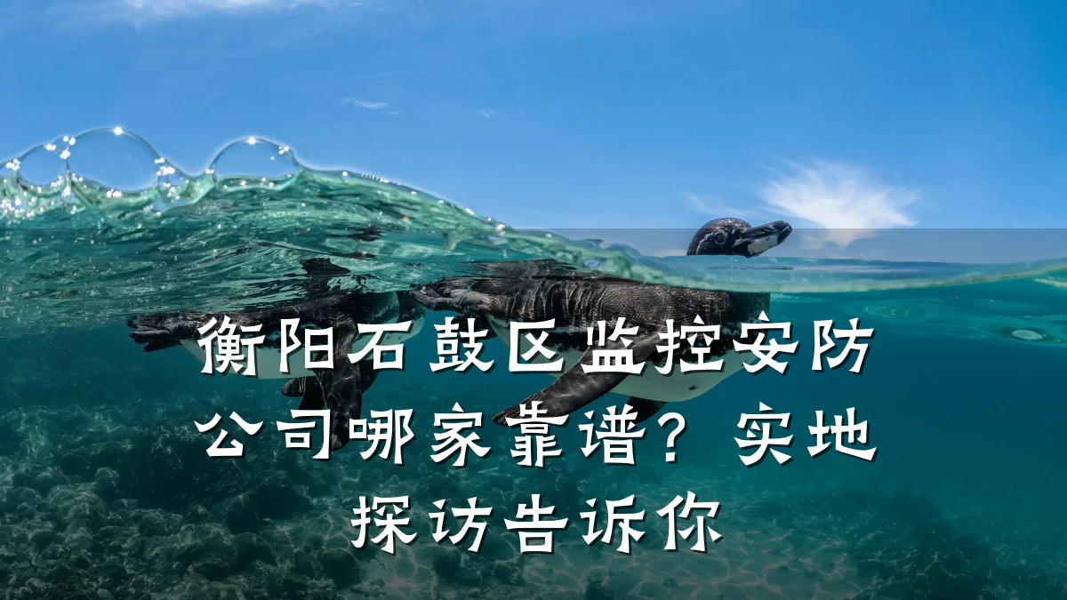 衡阳石鼓区监控安防公司哪家靠谱？实地探访告诉你