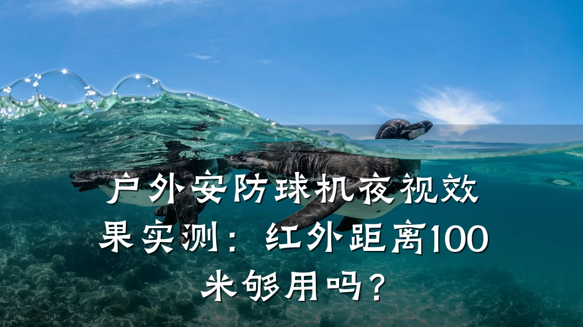 户外安防球机夜视效果实测：红外距离100米够用吗？