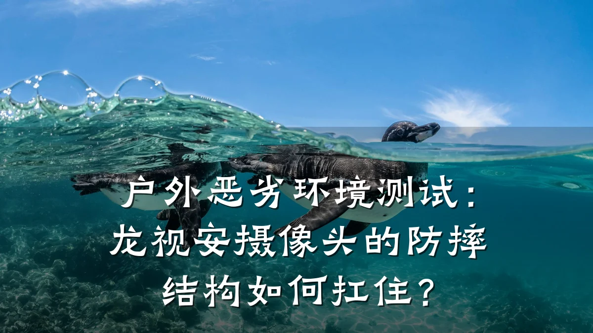 户外恶劣环境测试:龙视安摄像头的防摔结构如何扛住?