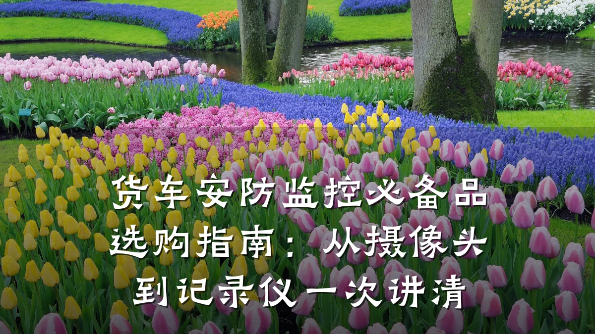 货车安防监控必备品选购指南:从摄像头到记录仪一次讲清