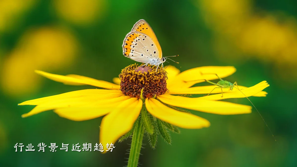 行业背景与近期趋势