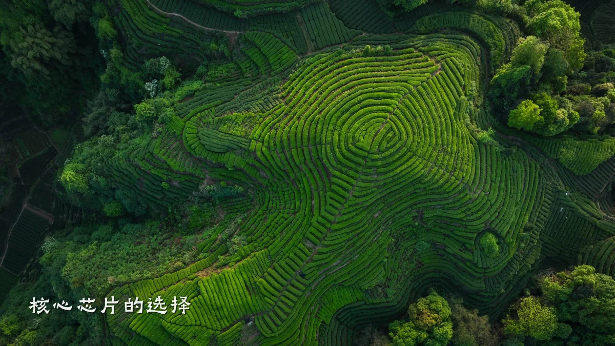 核心芯片的选择