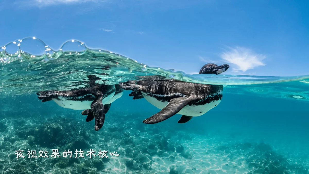 夜视效果的技术核心