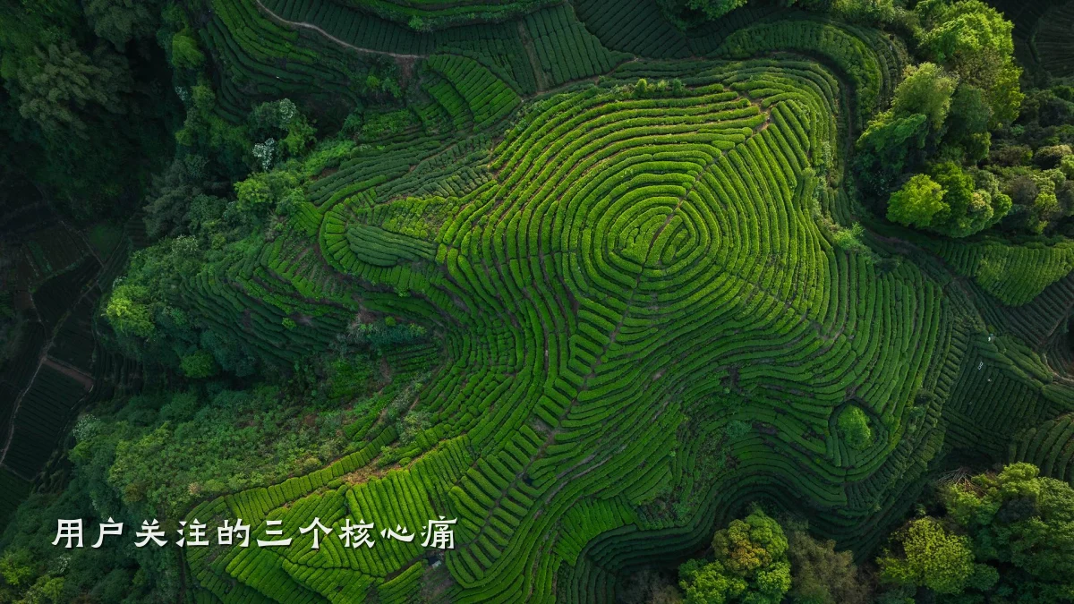 用户关注的三个核心痛