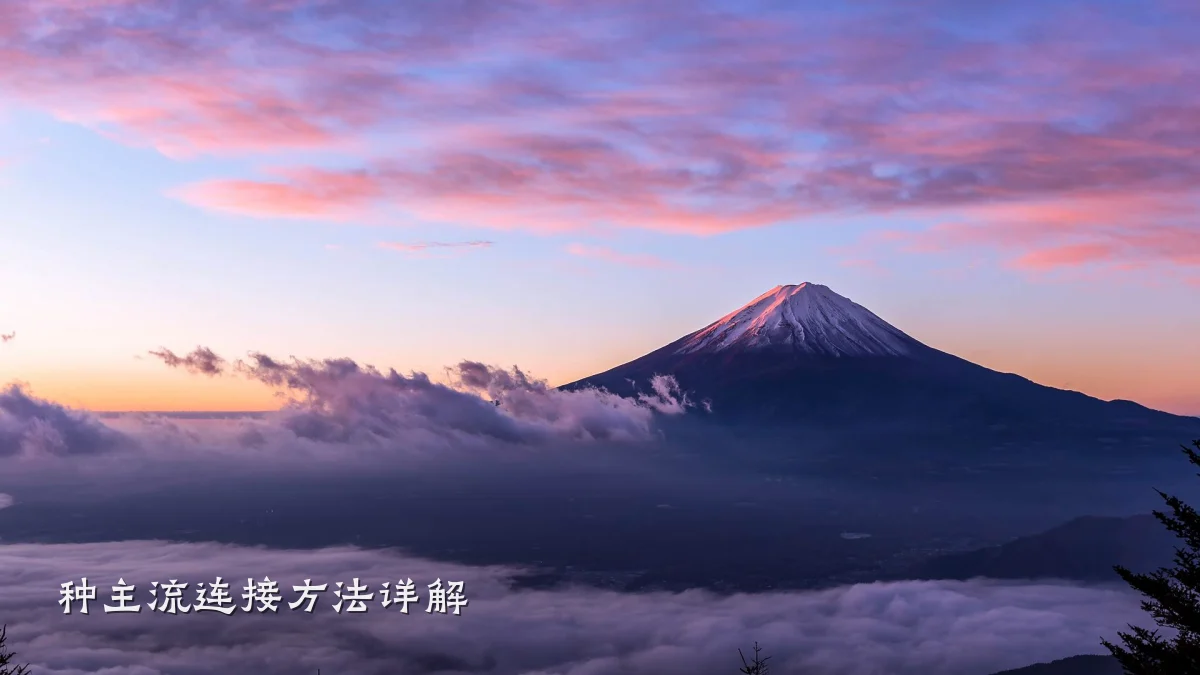 种主流连接方法详解