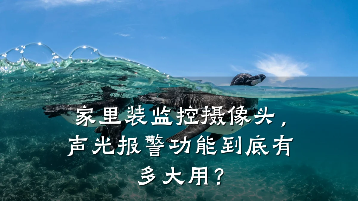 家里装监控摄像头,声光报警功能到底有多大用?