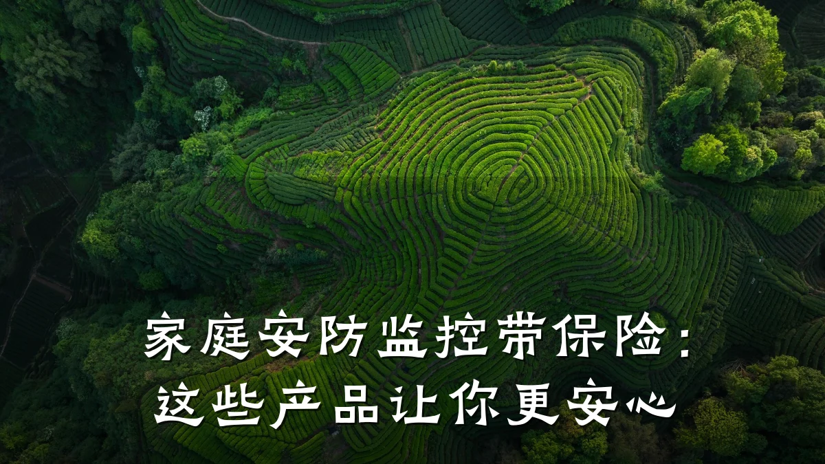 家庭安防监控带保险:这些产品让你更安心