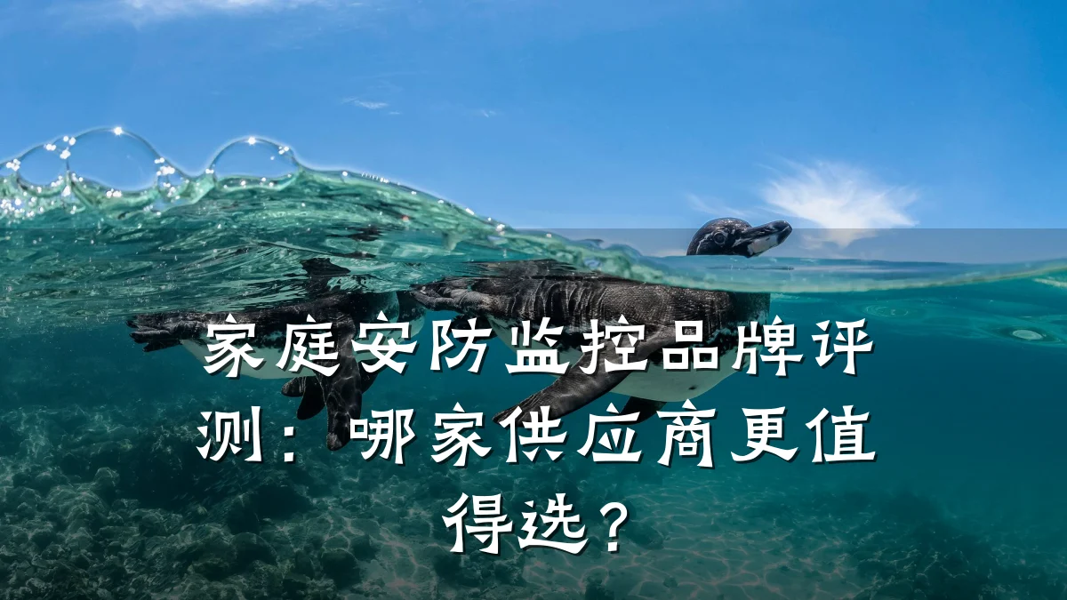家庭安防监控品牌评测:哪家供应商更值得选?