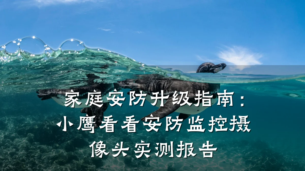 家庭安防升级指南:小鹰看看安防监控摄像头实测报告