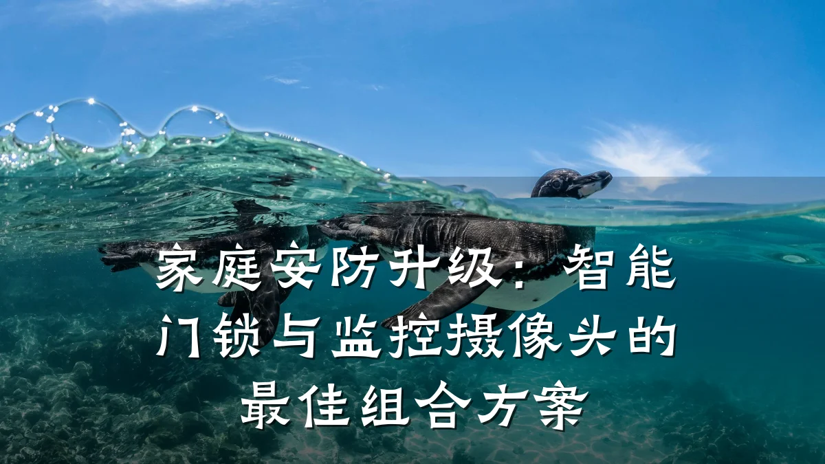家庭安防升级:智能门锁与监控摄像头的最佳组合方案