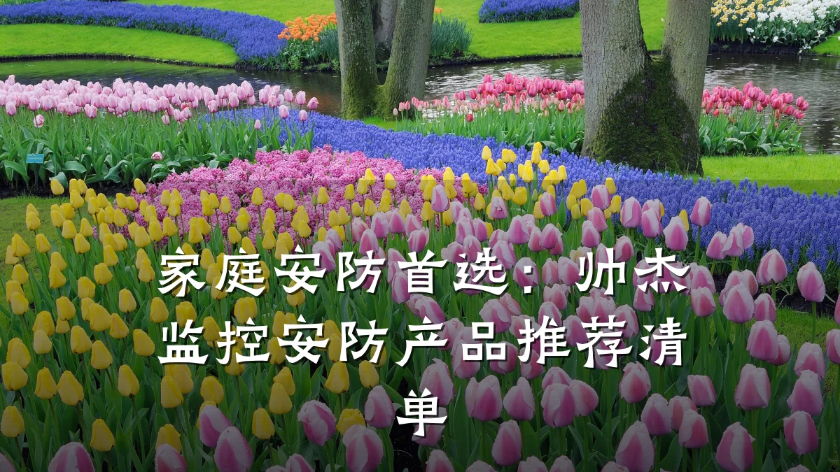 家庭安防首选:帅杰监控安防产品推荐清单