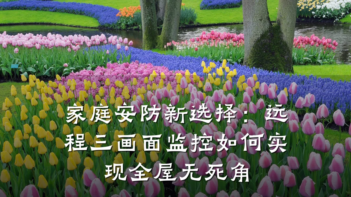 家庭安防新选择:远程三画面监控如何实现全屋无死角