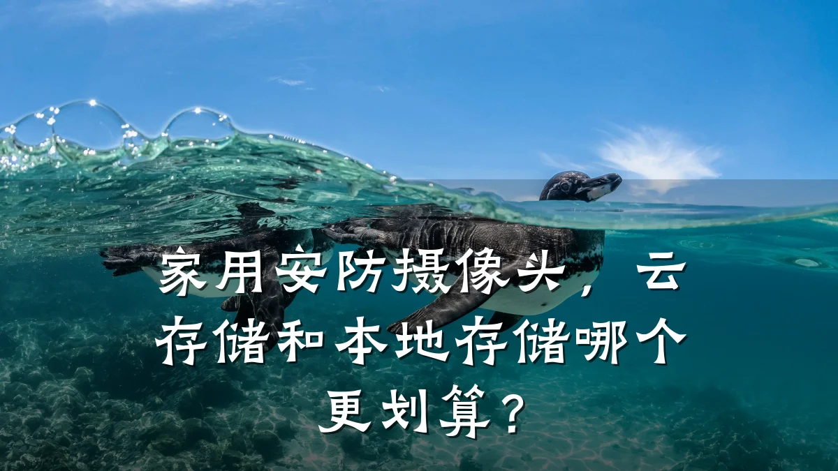 家用安防摄像头，云存储和本地存储哪个更划算？