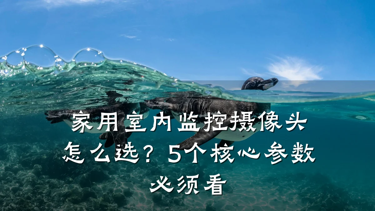 家用室内监控摄像头怎么选?5个核心参数必须看