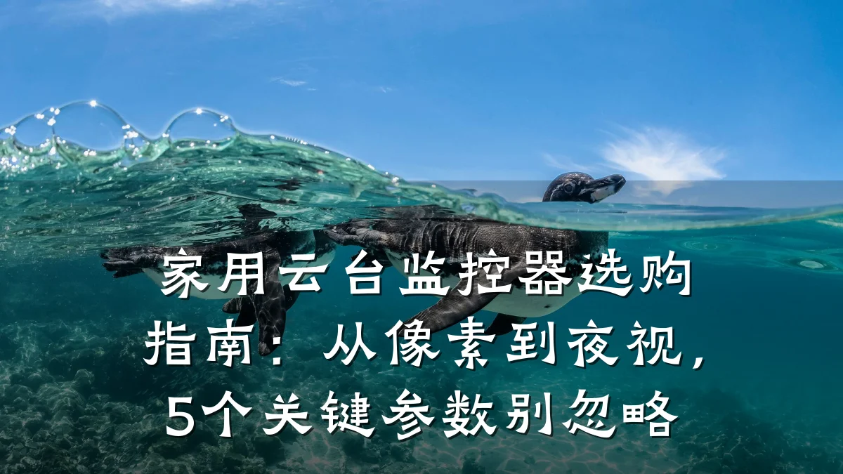家用云台监控器选购指南：从像素到夜视，5个关键参数别忽略