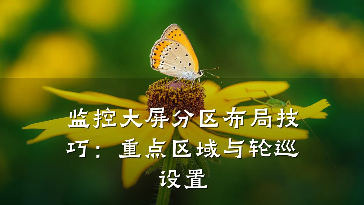 监控大屏分区布局技巧:重点区域与轮巡设置