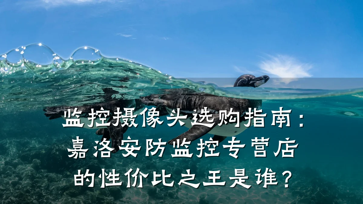 监控摄像头选购指南:嘉洛安防监控专营店的性价比之王是谁?