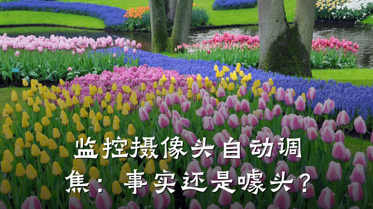 监控摄像头自动调焦：事实还是噱头？