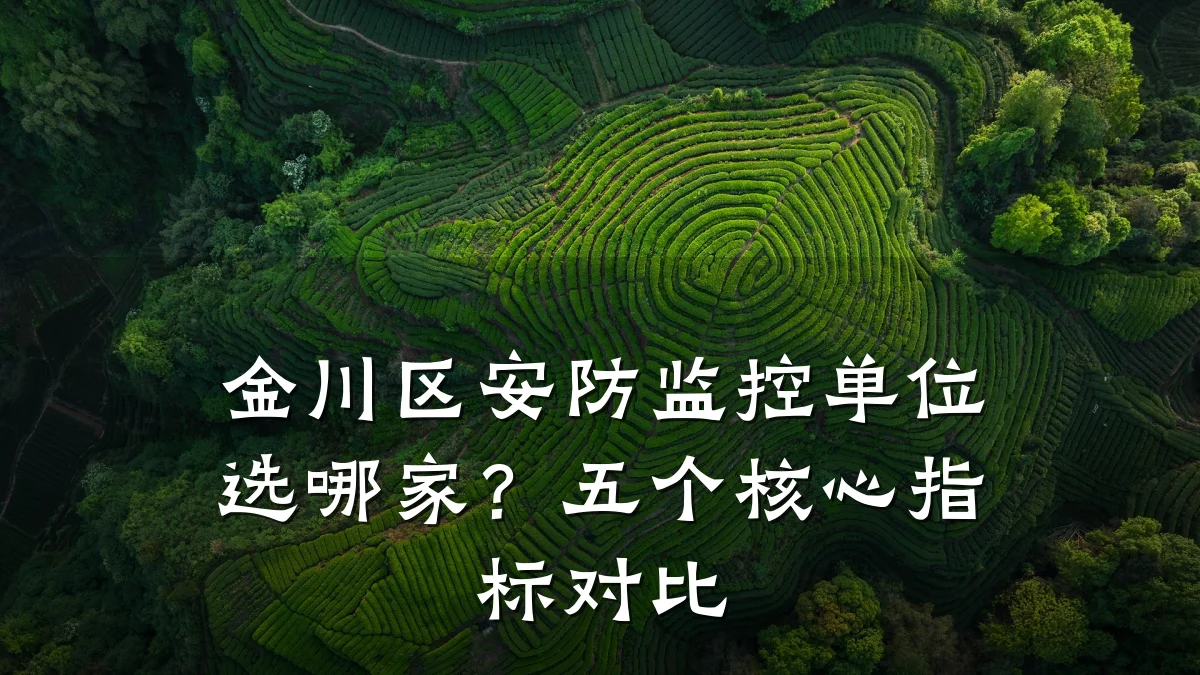 金川区安防监控单位选哪家?五个核心指标对比