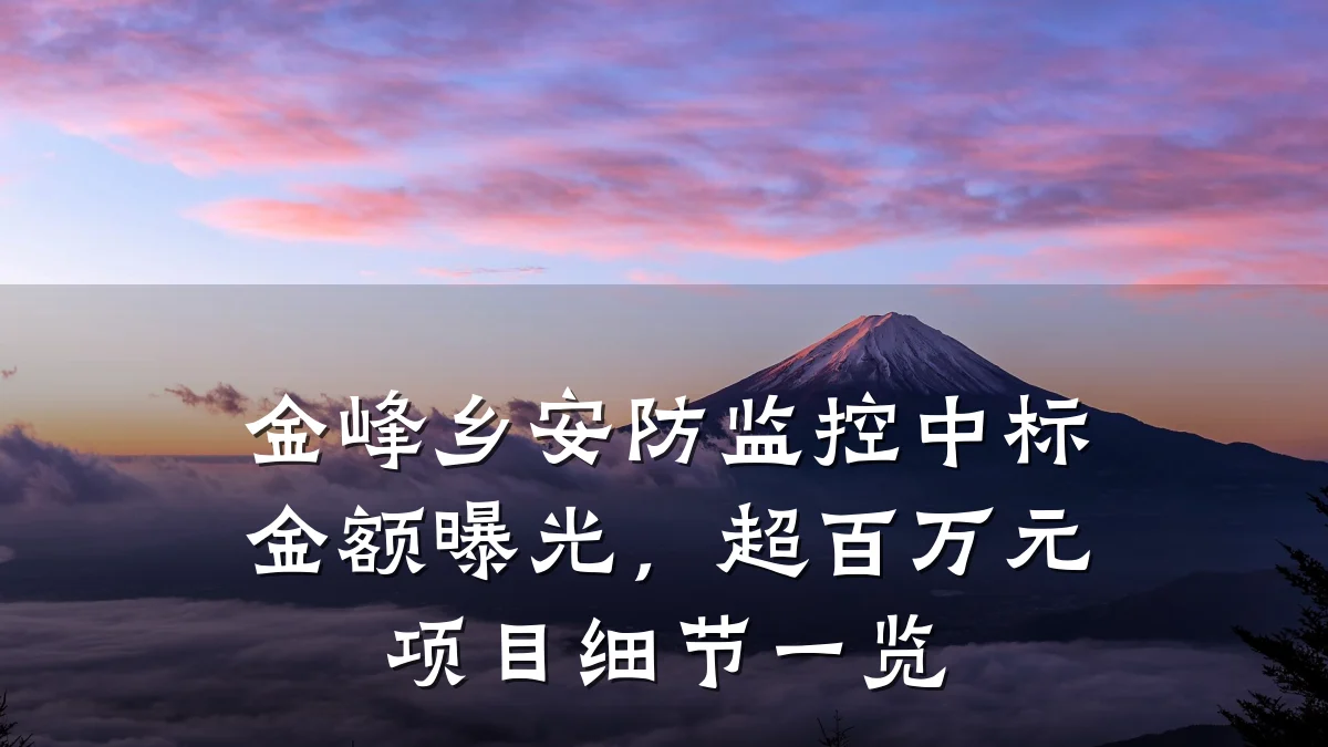金峰乡安防监控中标金额曝光,超百万元项目细节一览