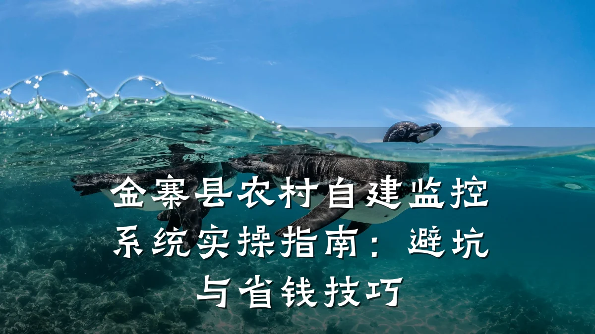 金寨县农村自建监控系统实操指南:避坑与省钱技巧