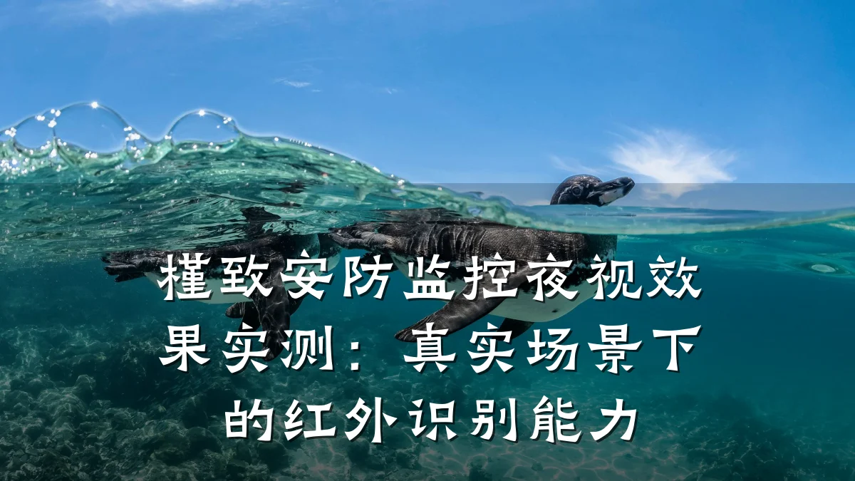 槿致安防监控夜视效果实测:真实场景下的红外识别能力