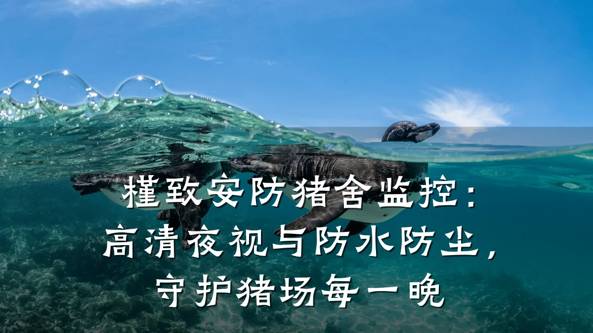 槿致安防猪舍监控:高清夜视与防水防尘,守护猪场每一晚