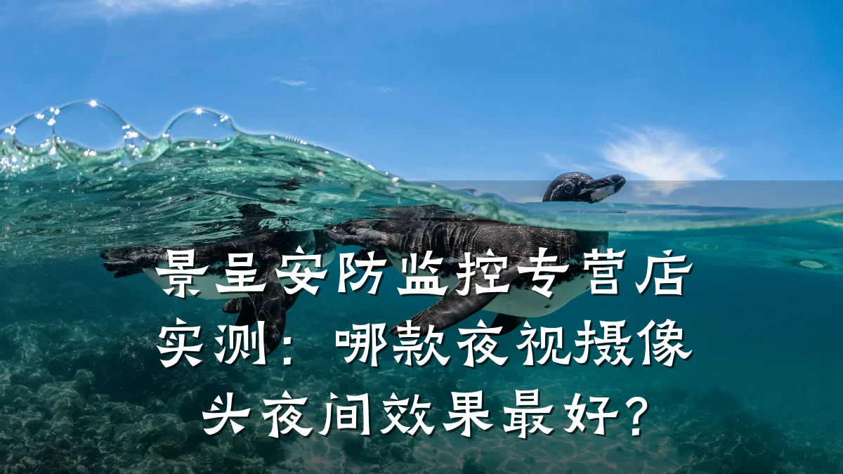 景呈安防监控专营店实测:哪款夜视摄像头夜间效果最好?