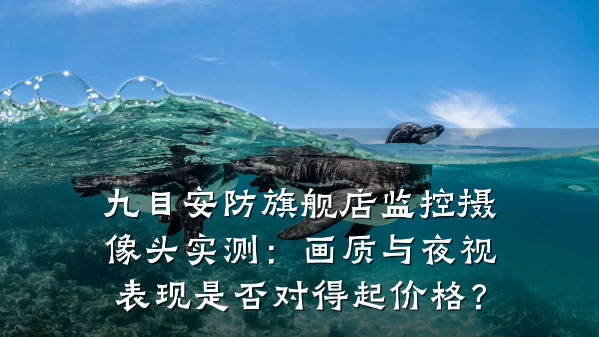 九目安防旗舰店监控摄像头实测:画质与夜视表现是否对得起价格?