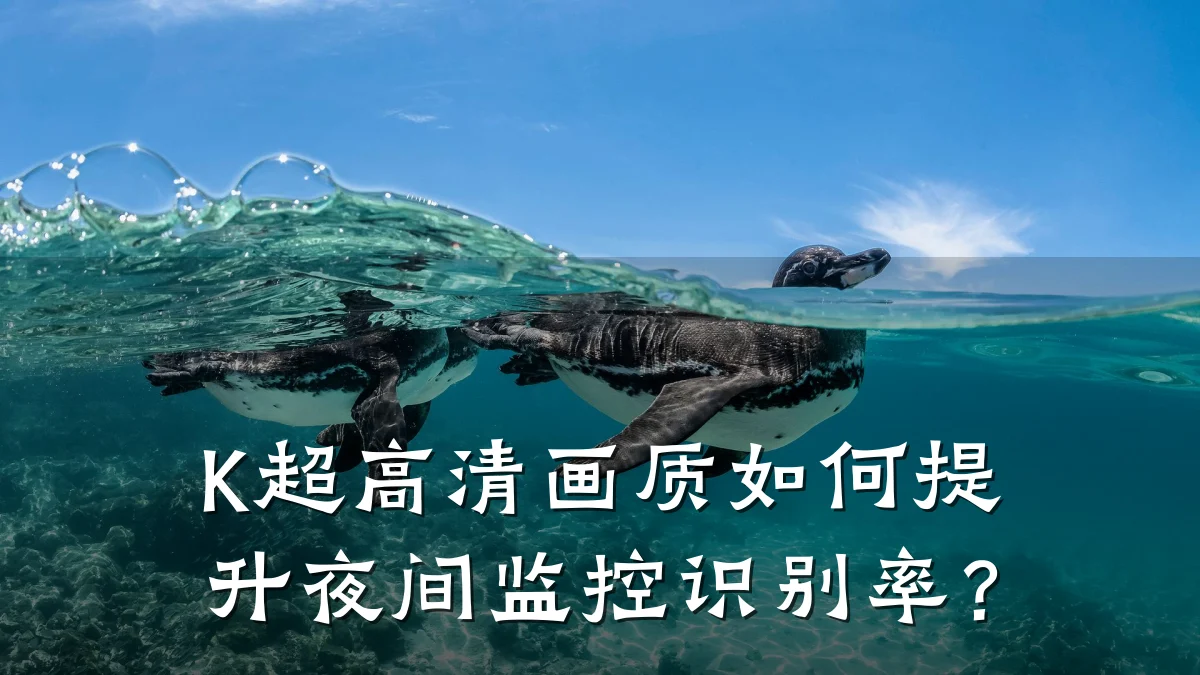 K超高清画质如何提升夜间监控识别率?
